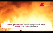 guerra in iran settore agroalimentare italiano in crisi 2