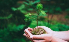 Guerre e crisi economiche fonte di ansia e stress La natura restituisce stabilita. Cose la biofilia e cosa promuove 265x160
