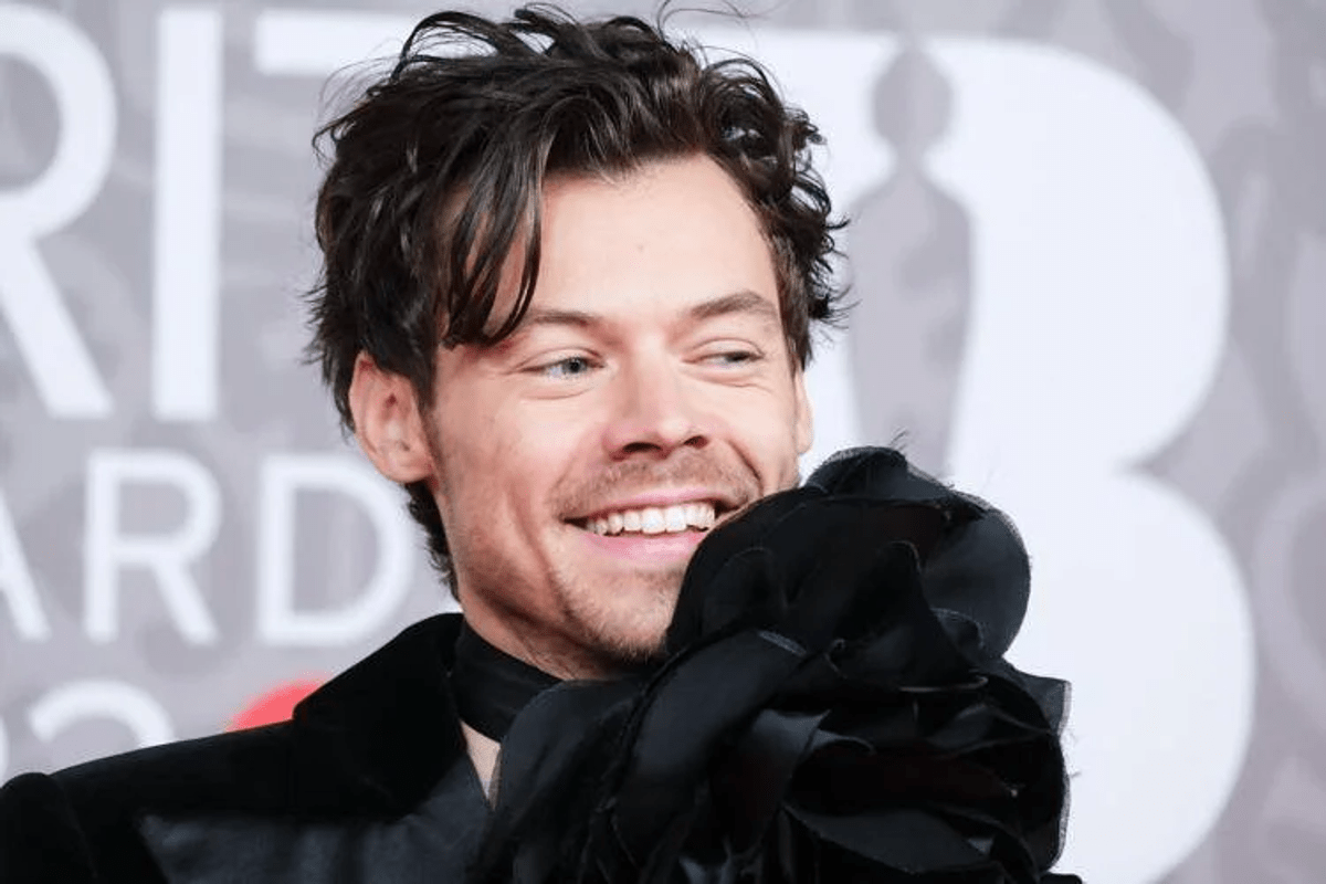 Harry Styles e la sauna a infrarossi, fisiatra 'previene rischi sovrallenamento e rigenera muscoli'