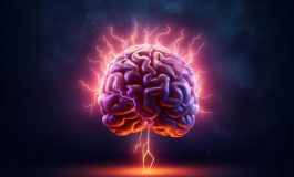 Il declino cognitivo parte dallintestino da uno studio nuove strade per combatterlo 265x160