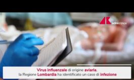 Influenza aviaria identificato in Lombardia un caso umano 265x160