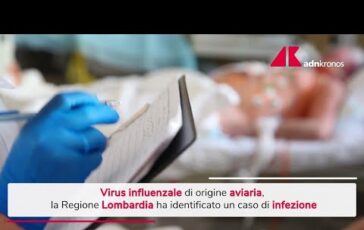 Influenza aviaria identificato in Lombardia un caso umano 364x230