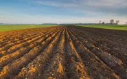 ismea riparte generazione terra 120 mln per giovani agricoltori nel 2026 2