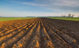 Ismea riparte Generazione Terra 120 mln per giovani agricoltori nel 2026 265x160