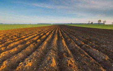 Ismea riparte Generazione Terra 120 mln per giovani agricoltori nel 2026 364x230