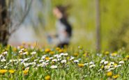 lequinozio di primavera non cade il 21 marzo ecco quando inizia la nuova stagione 2