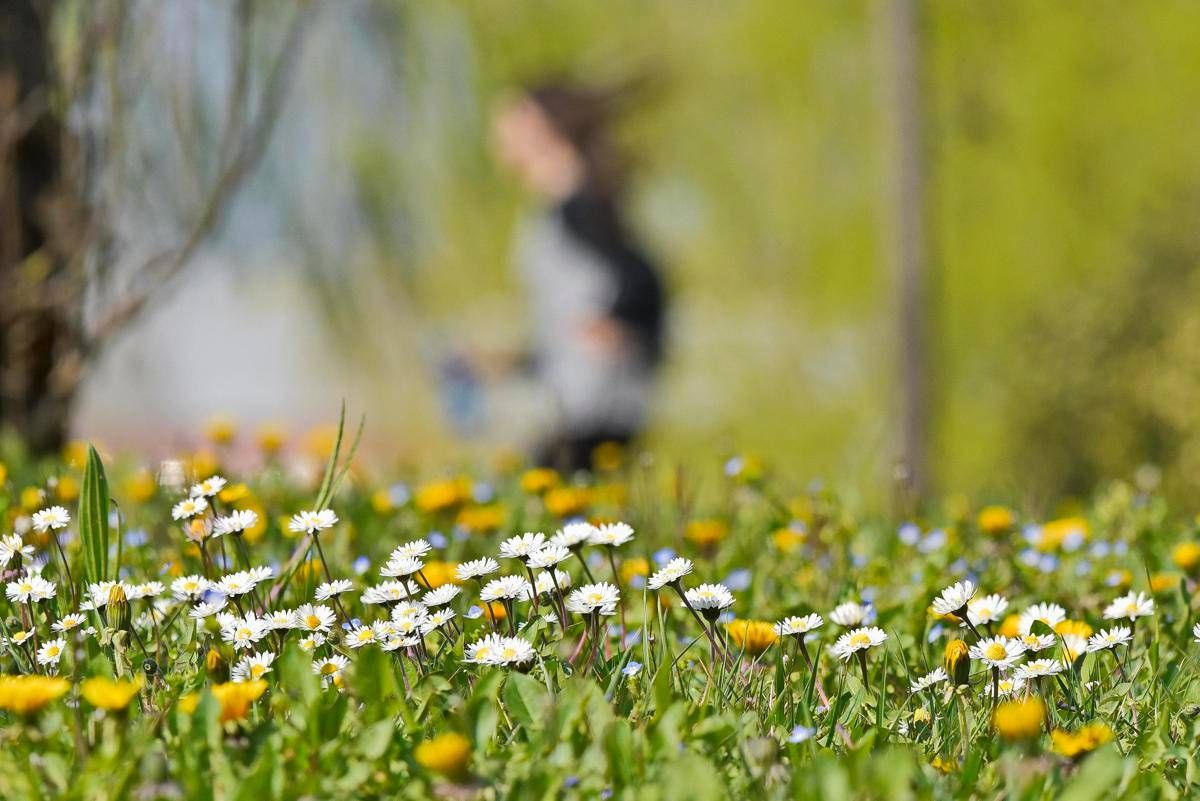 L'equinozio di primavera non cade il 21 marzo, ecco quando inizia la nuova stagione