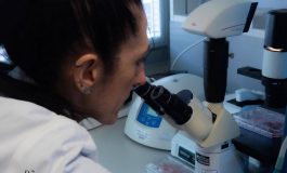 Malattie rare scoperta nuova patologia genetica nei bimbi 265x160