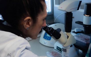 malattie rare scoperta nuova patologia genetica nei bimbi 2