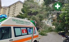 Maltempo sullItalia donna ferita da un ramo caduto a Genova. Grandine e pioggia a Roma traffico in tilt 265x160