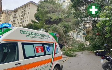 Maltempo sullItalia donna ferita da un ramo caduto a Genova. Grandine e pioggia a Roma traffico in tilt 364x230