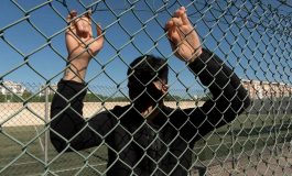 Minori Save the Children Il 134 dei ragazzi ha assistito a scene di violenza che venivano filmate 265x160