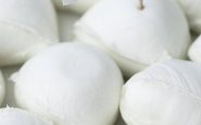 mozzarella di bufala e jabugo dop a barcellona il gemellaggio europeo del gusto 2