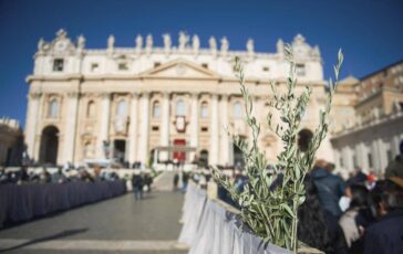 Oggi e la Domenica delle palme cosa si celebra e perche si usano i rami dulivo 364x230