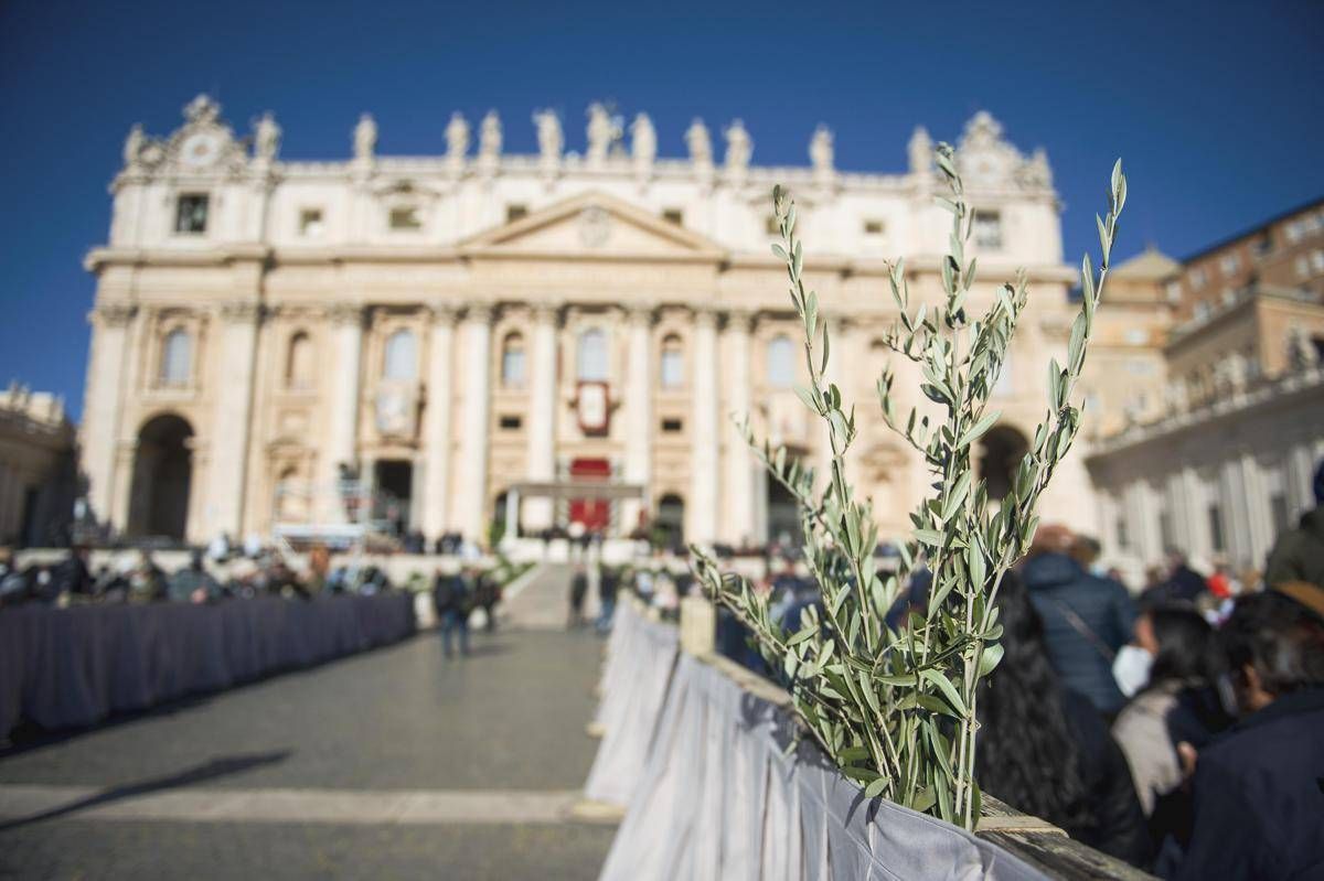 Oggi è la Domenica delle palme, cosa si celebra e perché si usano i rami d'ulivo