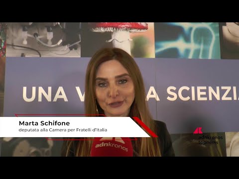 Parità di genere, Schifone (FdI): "Rafforzare presenza femminile in materie Stem e mondo del lavoro"