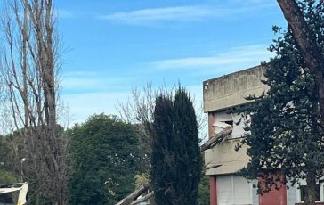 paura a roma cade albero e sfonda finestra del liceo orazio 2