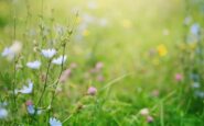 primavera i rischi del primo sole la dermatologa puo anche scottare abituare la pelle in modo progressivo 2