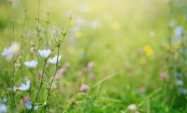 Primavera i rischi del primo sole la dermatologa Puo anche scottare abituare la pelle in modo progressivo 265x160