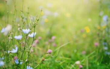 Primavera i rischi del primo sole la dermatologa Puo anche scottare abituare la pelle in modo progressivo 364x230
