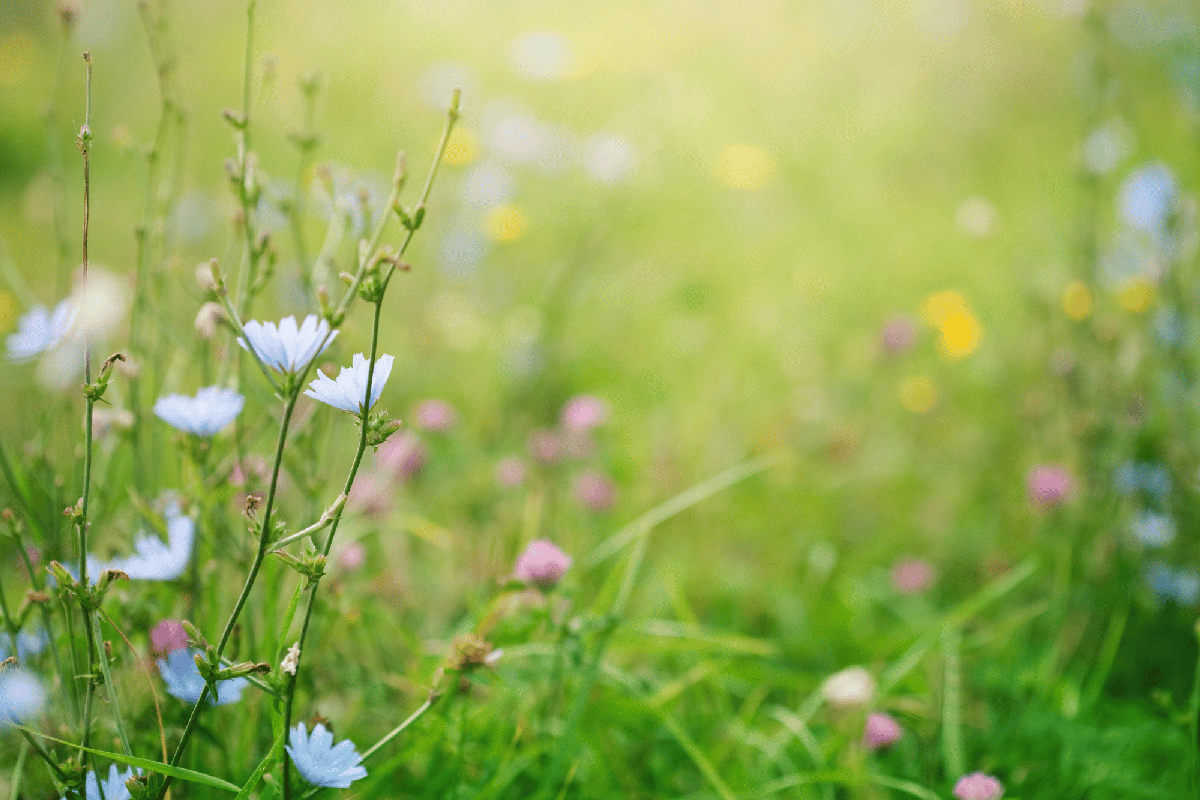 Primavera, i rischi del primo sole, la dermatologa: "Può anche scottare, abituare la pelle in modo progressivo"