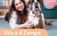 qvc italia debutta nuova categoria per care con uno show su amici a quattro zampe 2