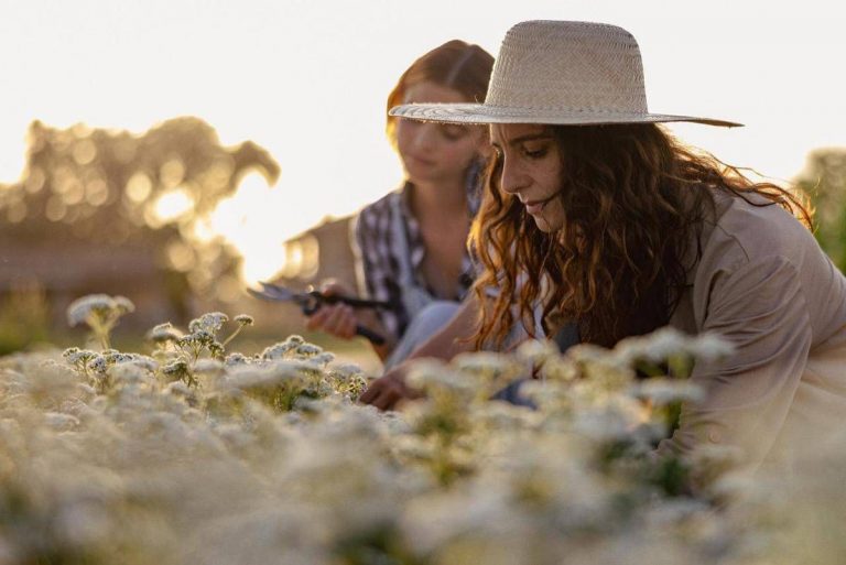 Sostenibilita torna The Good Farmer Award candidature aperte fino al 15 maggio 768x513