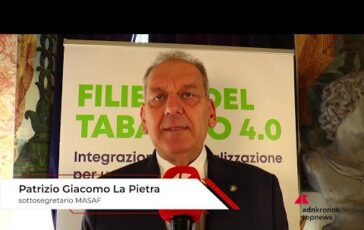 tabacco la pietra agricoltura filiera eccellenza italiana accordi decisivi per investimenti e 2