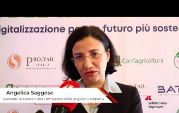 tabacco saggese regione campania filiera strategica per la campania innovazione e formazione 2