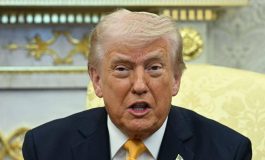 Trump attacco frontale alla Nato Codardi ce ne ricorderemo 265x160