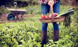 Usa una famiglia rifiuta 26 milioni di dollari da unazienda IA La nostra fattoria non diventera un data center 265x160