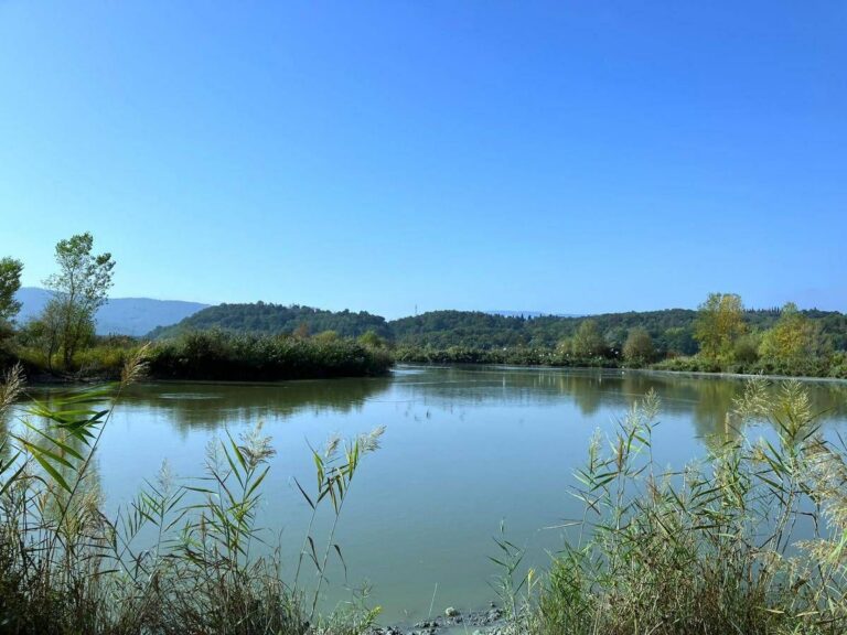 World Water Day Sanpellegrino lancia Fonte 768x576