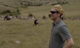 featured 3586387 265x160