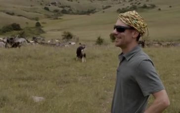 featured 3586387 364x230