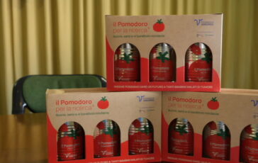 featured 3589843 364x230