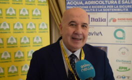 featured 3589849 265x160