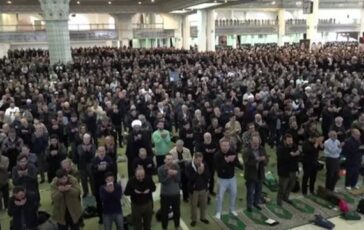 featured 3590138 364x230