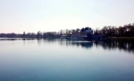 featured 3590198 265x160