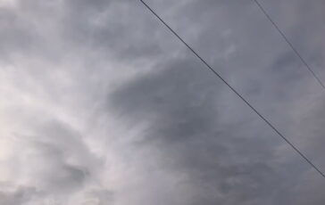 featured 3590228 364x230