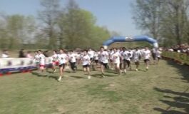 featured 3590415 265x160