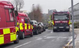 featured 3590485 265x160