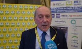 featured 3590495 265x160