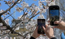 featured 3590801 265x160