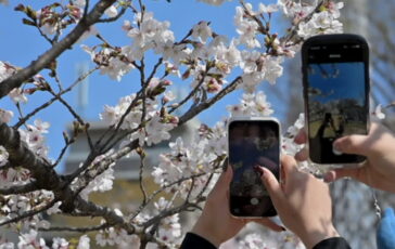 featured 3590801 364x230