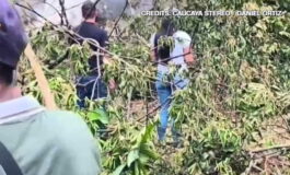 featured 3590813 265x160