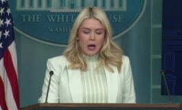 featured 3591474 265x160