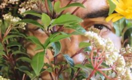 featured 3591631 265x160