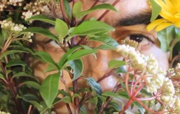 featured 3591631 364x230