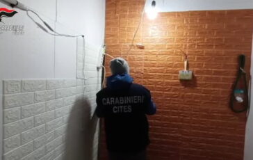 featured 3591670 364x230