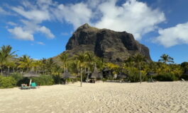 featured 3591776 265x160